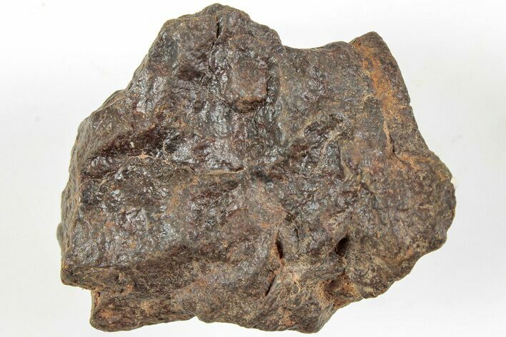 Chondrite Meteorite ( g) - Western Sahara Desert #233204